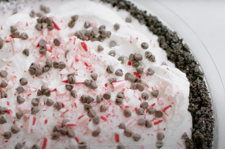 A closeup of Peppermint Milkshake Pie.