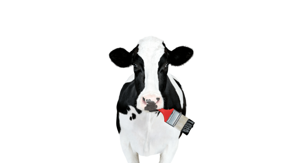 A Chick-fil-A Cow holding a paint brush in its mouth.